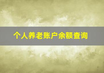 个人养老账户余额查询