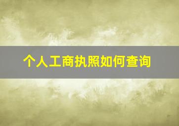 个人工商执照如何查询