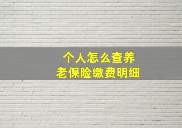 个人怎么查养老保险缴费明细