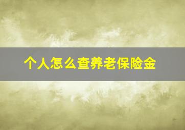 个人怎么查养老保险金