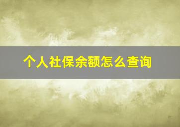 个人社保余额怎么查询