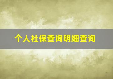 个人社保查询明细查询