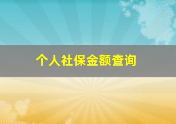 个人社保金额查询