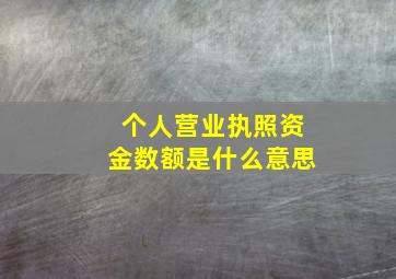 个人营业执照资金数额是什么意思