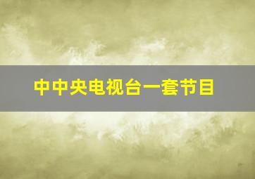 中中央电视台一套节目