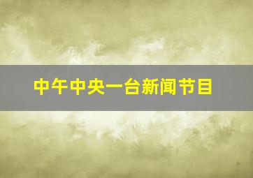 中午中央一台新闻节目