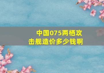 中国075两栖攻击舰造价多少钱啊