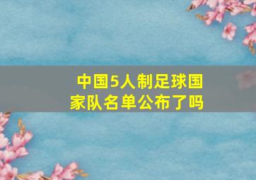 中国5人制足球国家队名单公布了吗