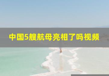 中国5艘航母亮相了吗视频