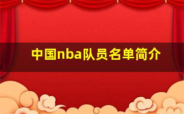 中国nba队员名单简介