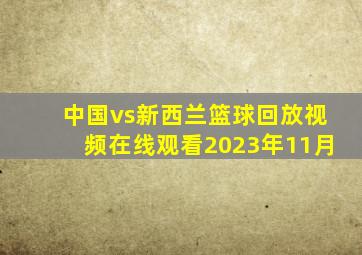 中国vs新西兰篮球回放视频在线观看2023年11月