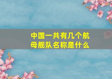 中国一共有几个航母舰队名称是什么