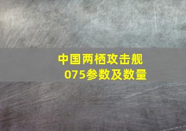 中国两栖攻击舰075参数及数量