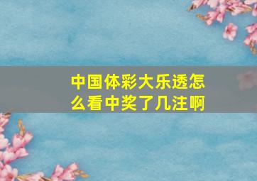 中国体彩大乐透怎么看中奖了几注啊