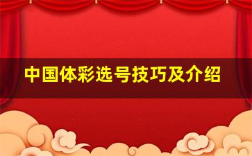 中国体彩选号技巧及介绍