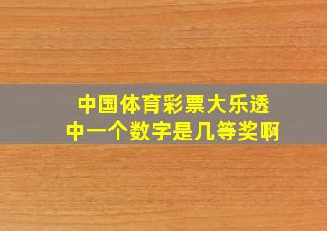 中国体育彩票大乐透中一个数字是几等奖啊