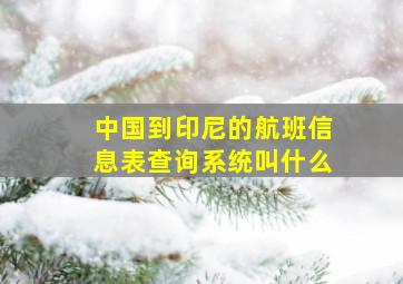 中国到印尼的航班信息表查询系统叫什么