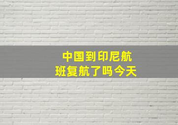 中国到印尼航班复航了吗今天