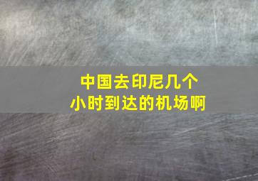 中国去印尼几个小时到达的机场啊