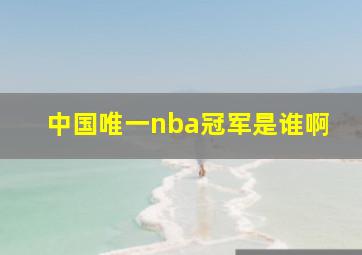 中国唯一nba冠军是谁啊