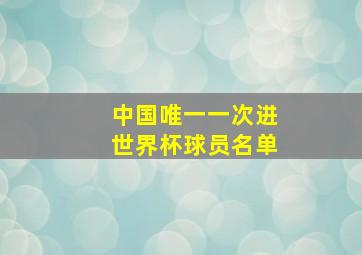 中国唯一一次进世界杯球员名单