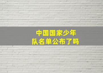 中国国家少年队名单公布了吗