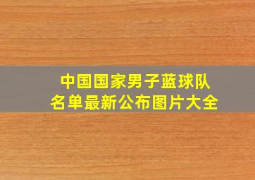 中国国家男子蓝球队名单最新公布图片大全