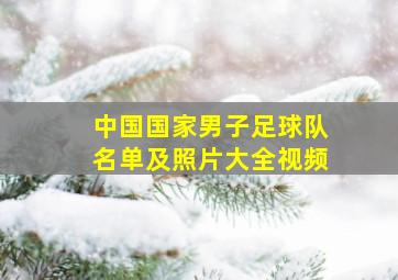 中国国家男子足球队名单及照片大全视频