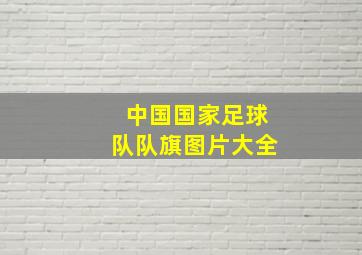 中国国家足球队队旗图片大全