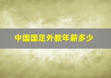 中国国足外教年薪多少