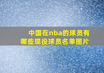 中国在nba的球员有哪些现役球员名单图片