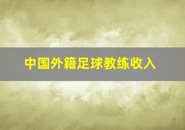 中国外籍足球教练收入