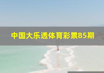 中国大乐透体育彩票85期