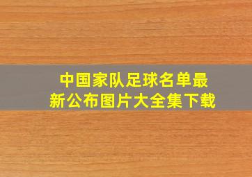 中国家队足球名单最新公布图片大全集下载