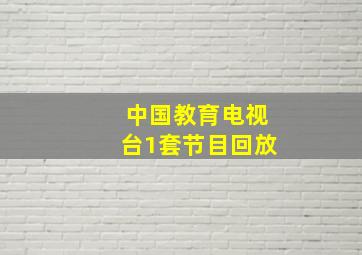 中国教育电视台1套节目回放