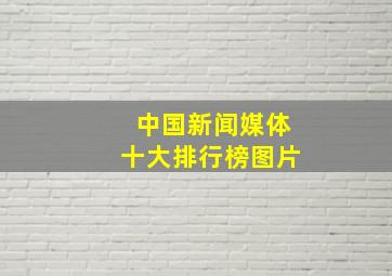 中国新闻媒体十大排行榜图片