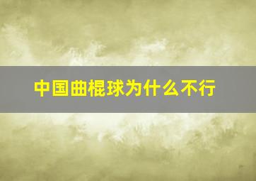 中国曲棍球为什么不行