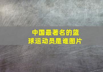 中国最著名的篮球运动员是谁图片