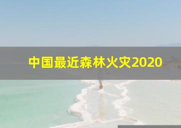 中国最近森林火灾2020