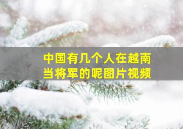 中国有几个人在越南当将军的呢图片视频