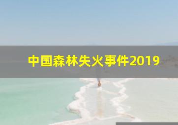 中国森林失火事件2019