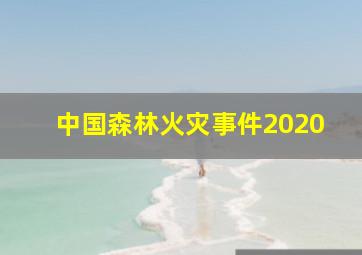 中国森林火灾事件2020