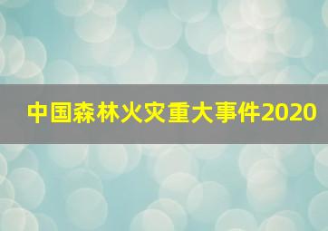 中国森林火灾重大事件2020