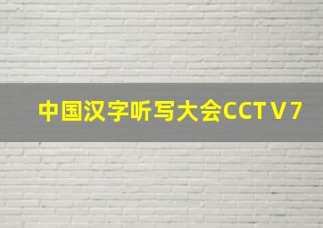 中国汉字听写大会CCTⅤ7