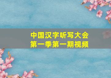 中国汉字听写大会第一季第一期视频