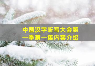 中国汉字听写大会第一季第一集内容介绍