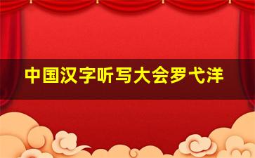 中国汉字听写大会罗弋洋