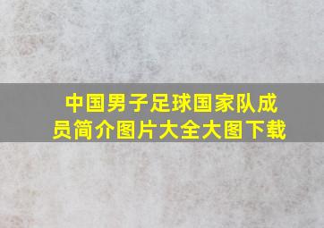 中国男子足球国家队成员简介图片大全大图下载