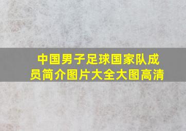 中国男子足球国家队成员简介图片大全大图高清