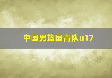 中国男篮国青队u17